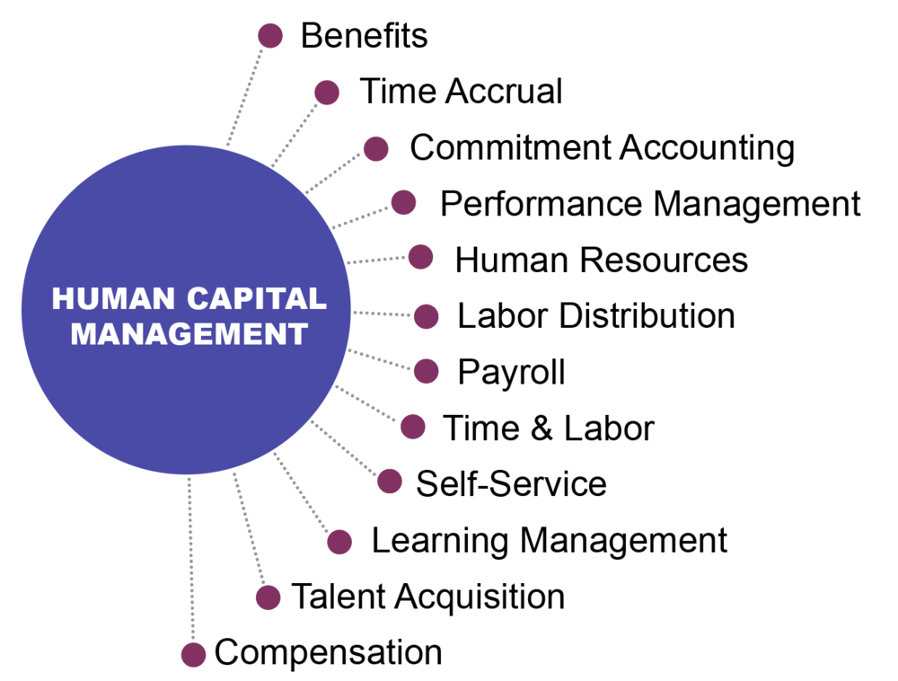 HCM Business Suite